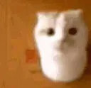 um