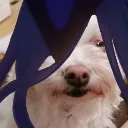clorindeJae