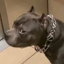 sideeye