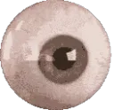 eye eye
