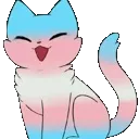 TransCat