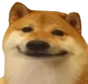doge