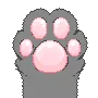 graypawb