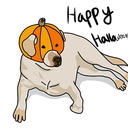 Pumpkin_Doggy Discord emoji