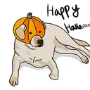 Pumpkin_Doggy