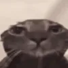 emoji_2