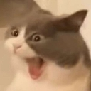 LcoPONGANSELCOENELNICK Discord emoji