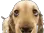 728337606840025108