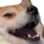 728337607523696690