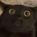 ohmaigahh