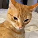LcoNoMeHablesRandom Discord emoji