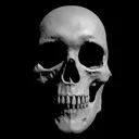 skull
