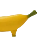 bananadog2