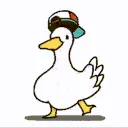 duck
