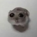 pls