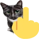EFCA_Defensive_Cat_Middle_Finger Discord Emoji