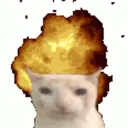 catexplosion