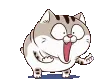 cat_surprised