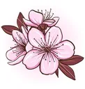 cherry_blossom cherry_blossom