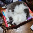 garybox garybox