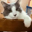 garychair