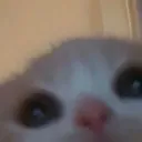 OopsiePeek