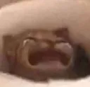 crycat
