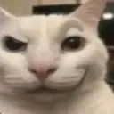 devious_cat
