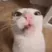 mlem