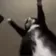 jigglin