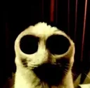 hi2