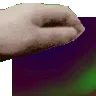 nutterPat