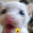 0_