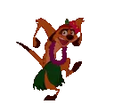 timon_dnc
