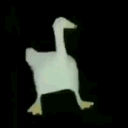duckdance Discord emoji