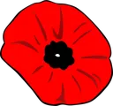 poppy