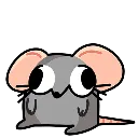 rat_sit