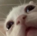 HUH