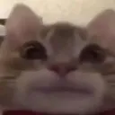 __