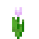 mc_pink_tulip Discord emoji