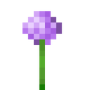 mc_allium Discord emoji