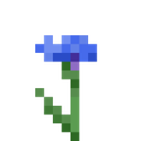 mc_cornflower Discord emoji