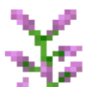 mc_lilac Discord emoji