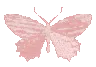 ESC_ab_Butterflypink