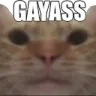 gaygay