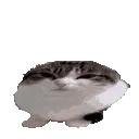 wawa