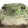 frogyes frogyes