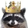 raccoonking