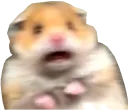 scared