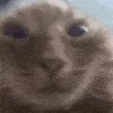 muh
